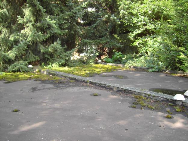 garagendach-vorher-1