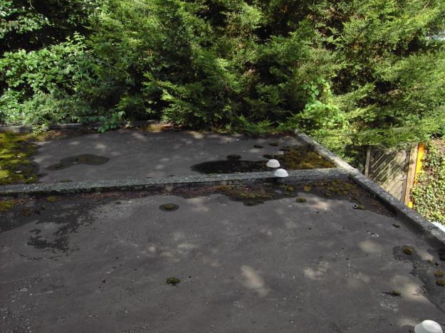 garagendach-vorher-2